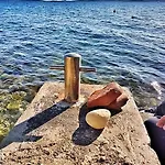 Sea Dream *